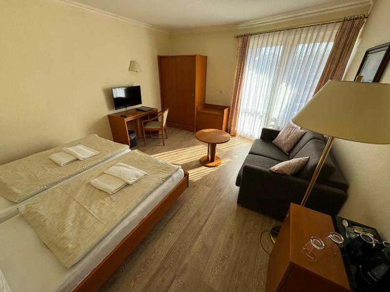 Comfort Double Room image 4
