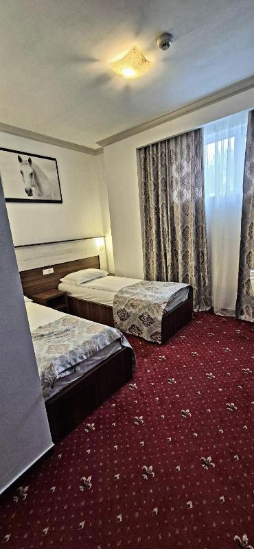 Twin Room image 3