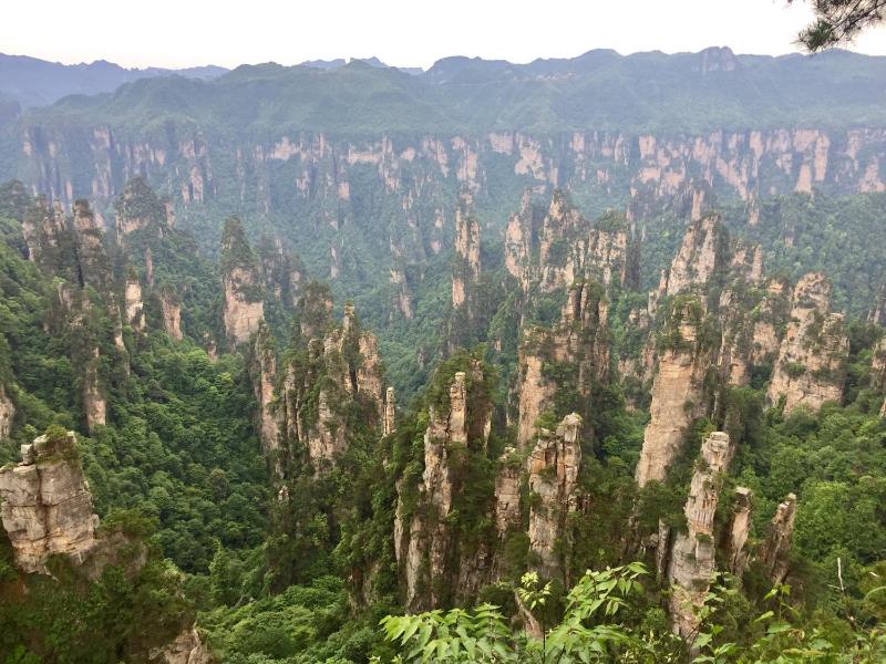 Zhangjiajie CLOUD Zhenxi Hotel- Near Forest Park EastGate about 10 Min Walk - English Butler Free Luggage Storage Tour Plan -reserve tickets for various scenic spots-Self-Service LaundryFree coffee Chinese tea - image 37