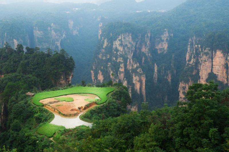 Zhangjiajie CLOUD Zhenxi Hotel- Near Forest Park EastGate about 10 Min Walk - English Butler Free Luggage Storage Tour Plan -reserve tickets for various scenic spots-Self-Service LaundryFree coffee Chinese tea - image 13