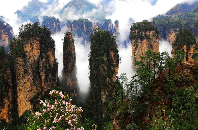 Zhangjiajie CLOUD Zhenxi Hotel- Near Forest Park EastGate about 10 Min Walk - English Butler Free Luggage Storage Tour Plan -reserve tickets for various scenic spots-Self-Service LaundryFree coffee Chinese tea - image 38