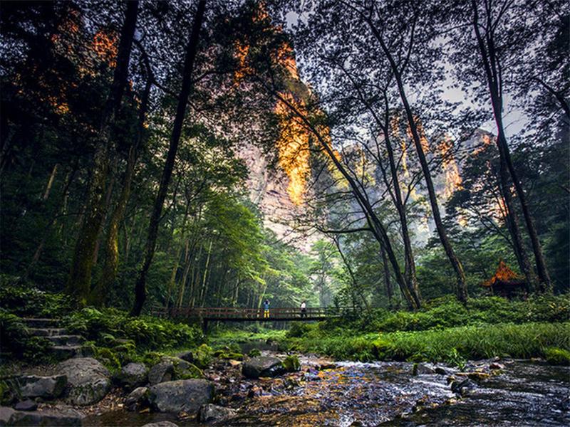 Zhangjiajie CLOUD Zhenxi Hotel- Near Forest Park EastGate about 10 Min Walk - English Butler Free Luggage Storage Tour Plan -reserve tickets for various scenic spots-Self-Service LaundryFree coffee Chinese tea - image 29