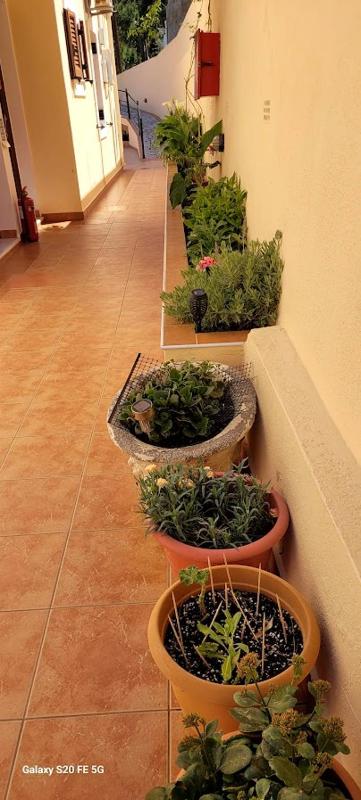 Apartment Potha image 2