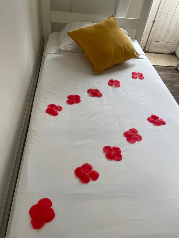 Bed in 6-Bed Dormitory Room with Shared Bathroom image 2