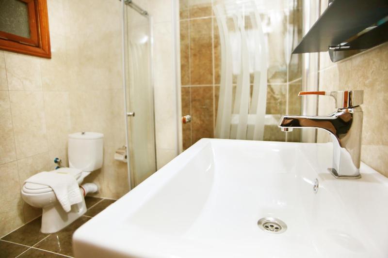 Theodian Hotel - image 10