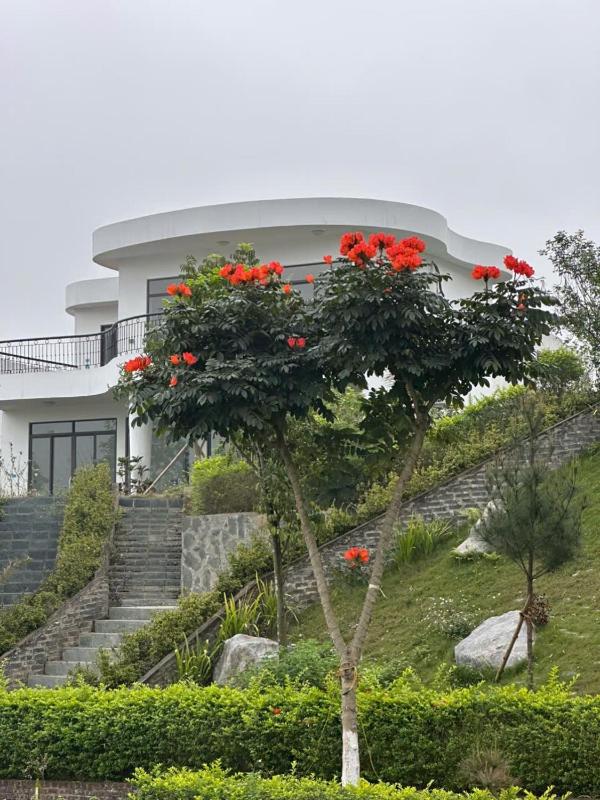3BR Lake View Ivory Hoa Binh Villa - image 27