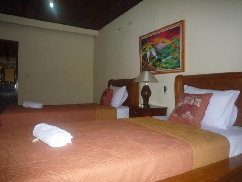 Shindu Home Stay - image 16
