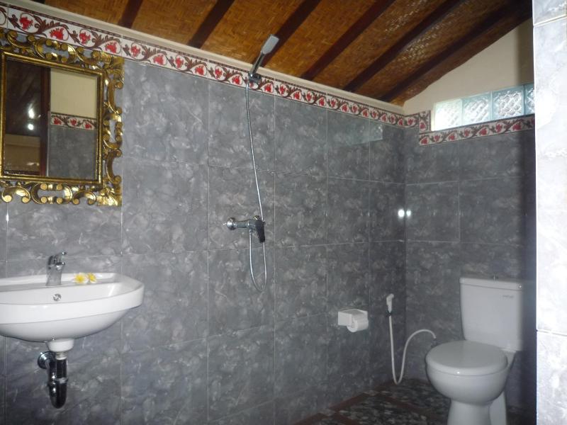 Shindu Home Stay - image 11