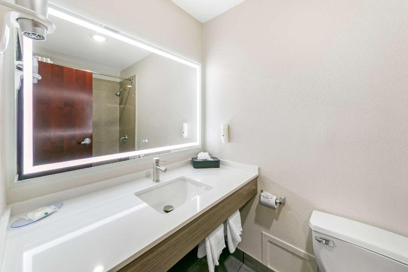 King Suite - Non-Smoking image 4