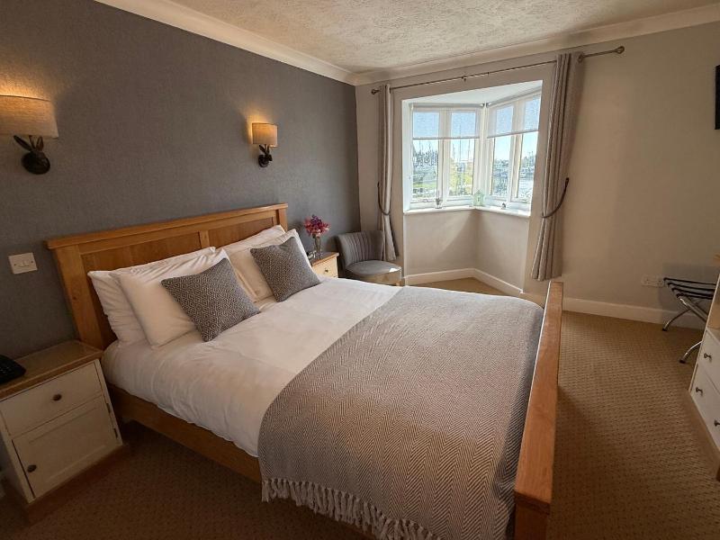 Superior Double Room image 3