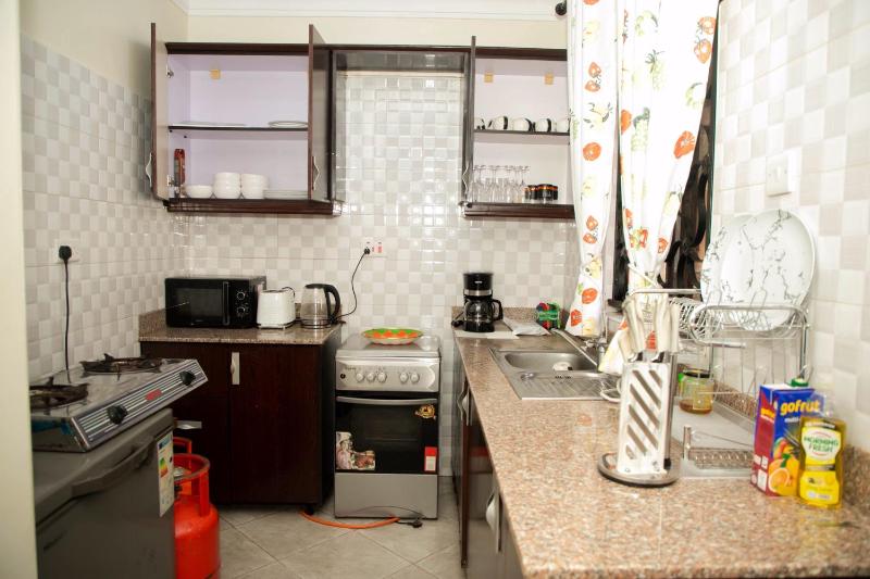 IE Luxury Apartments - image 3