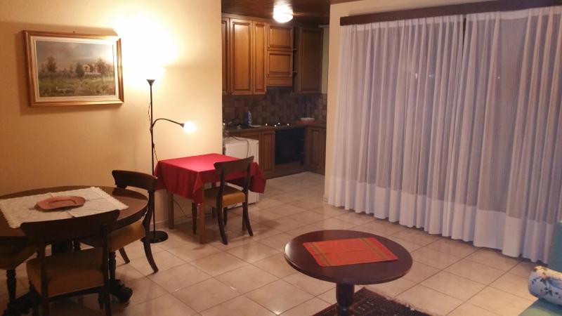 One-Bedroom Apartment with Terrace image 3