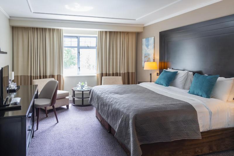 Double or Twin Room image 4