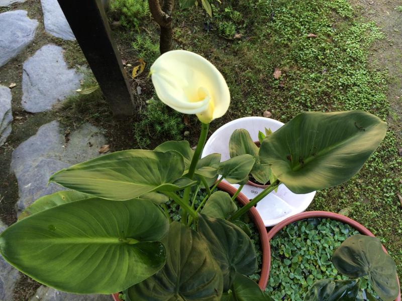 Share B&B - image 11