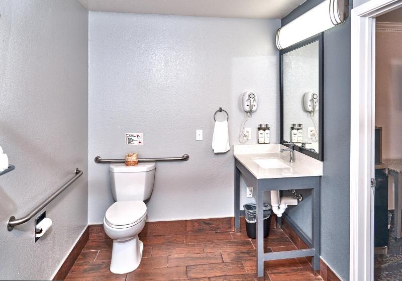 King Room with Roll-In Shower - Disability Access image 2
