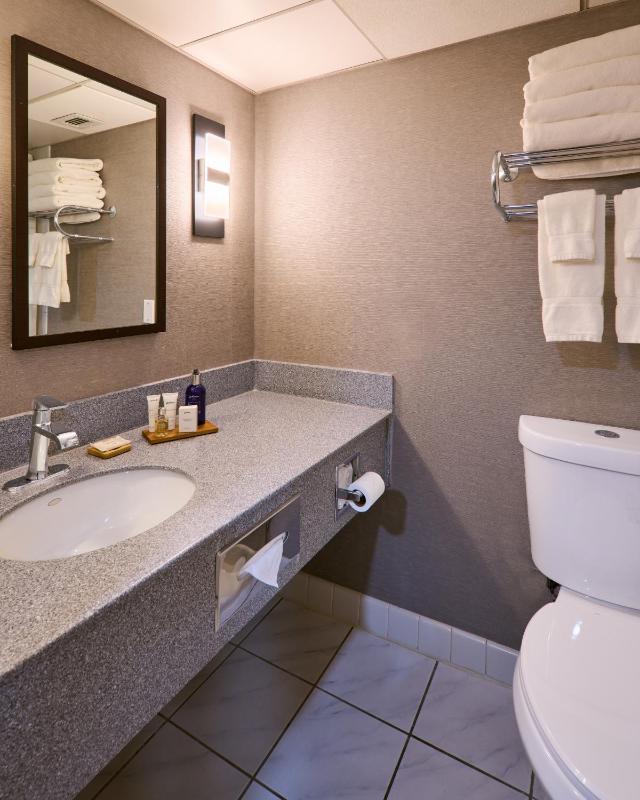 King Room - Disability Access image 4