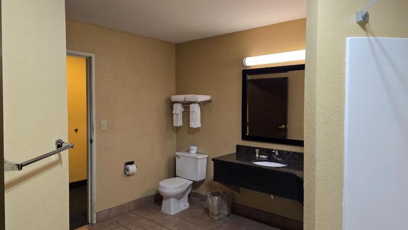 Deluxe King Suite image 4
