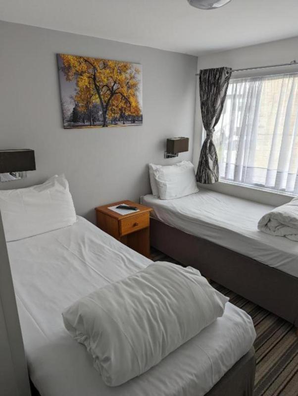 Standard Twin Room image 2