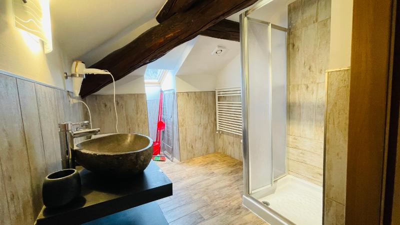 One-bedroom Loft Apartment  image 3