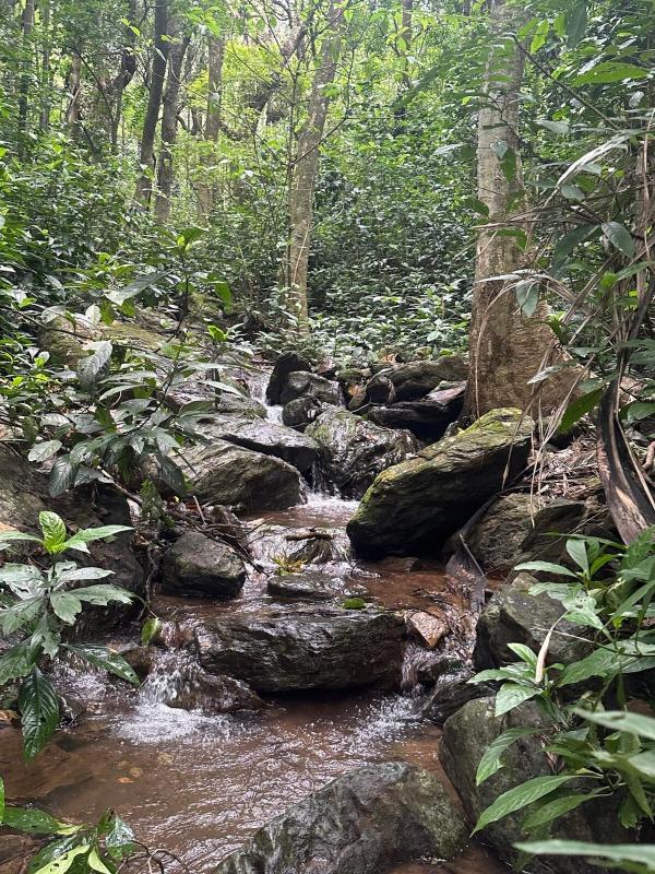 Vinthara Retreat - image 6