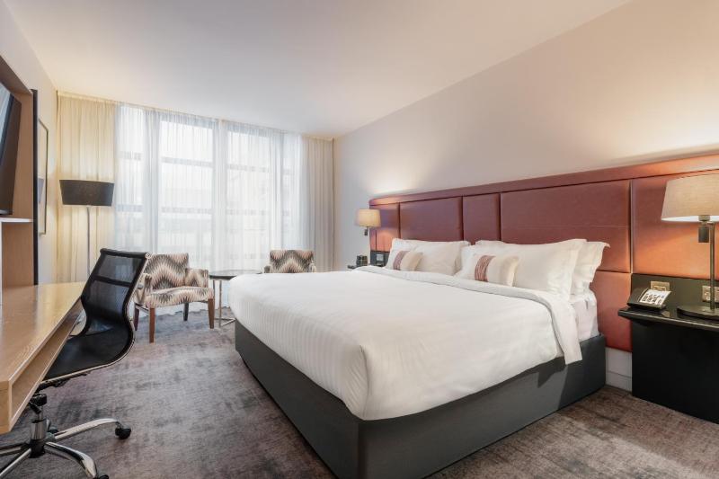 Deluxe King Room image 3