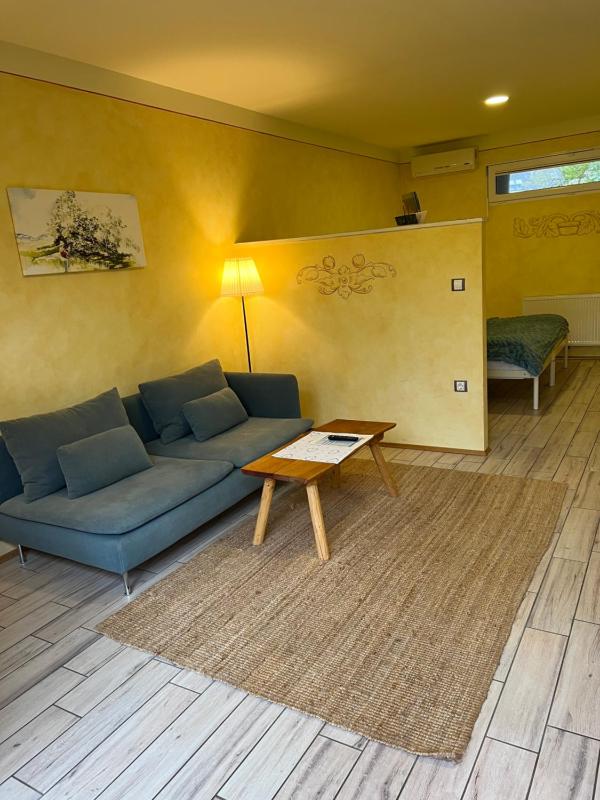 Apartment with Terrace image 2