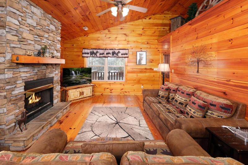 Luxury Theatre Cabin Lights Camera Relax - image 14