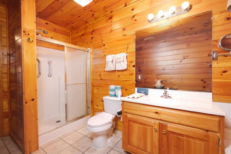 Luxury Theatre Cabin Lights Camera Relax - image 30