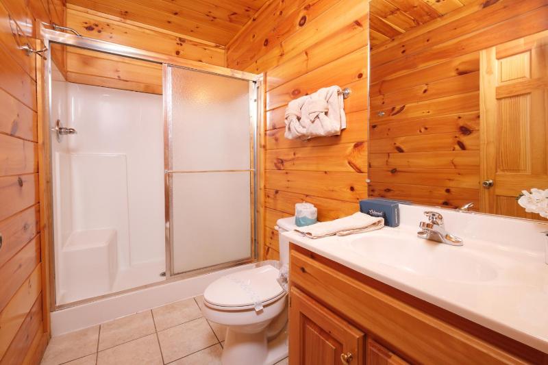 Luxury Theatre Cabin Lights Camera Relax - image 12