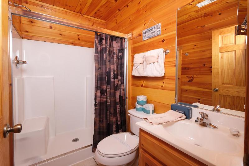Luxury Theatre Cabin Lights Camera Relax - image 1