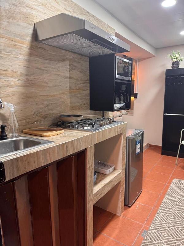 Oasis Urbano San Benito - image 13
