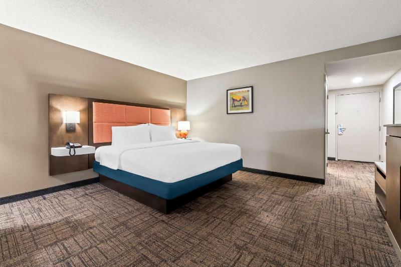 Standard King Room image 3