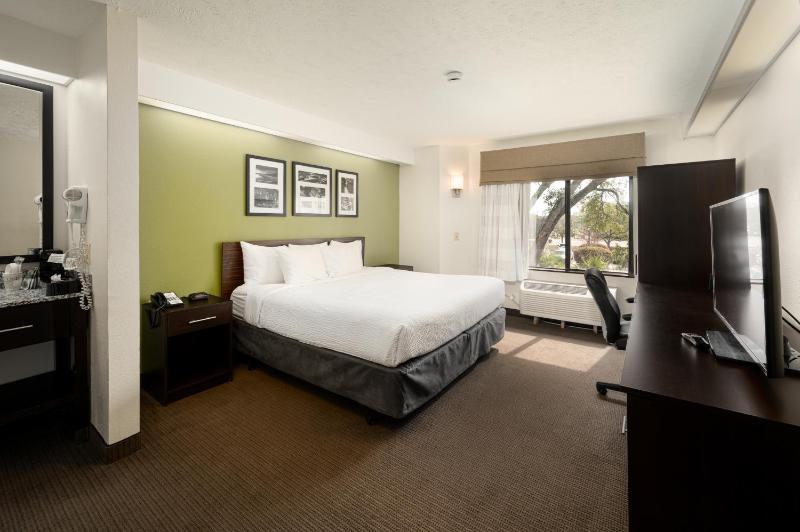 King Room - Non-Smoking image 1