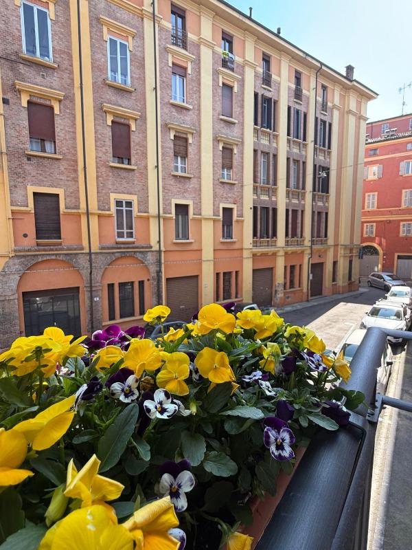 Rooms primo piano - image 16