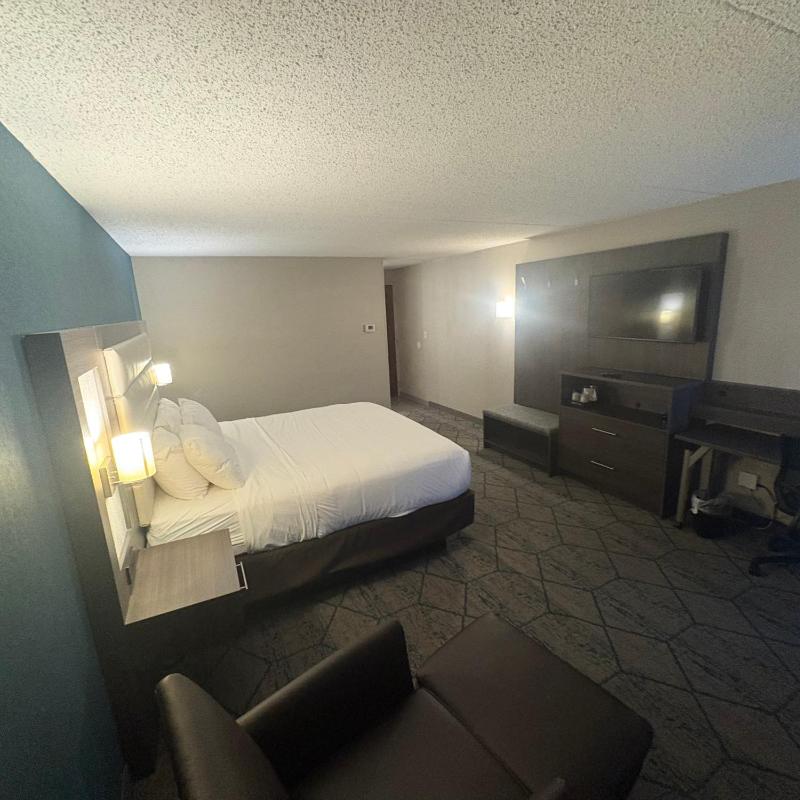 Deluxe King Room image 2