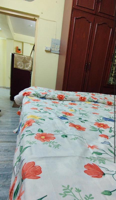 Lakeview Flat-DargahPushkar 10mins away - image 11