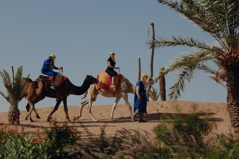 Palmeraie Oasis Camp - A member of Barcelo Hotel Group - image 7