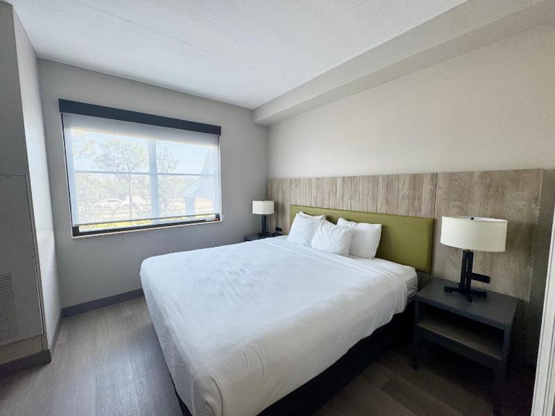 One-Bedroom King Suite with Sofa Bed - Non-Smoking image 3