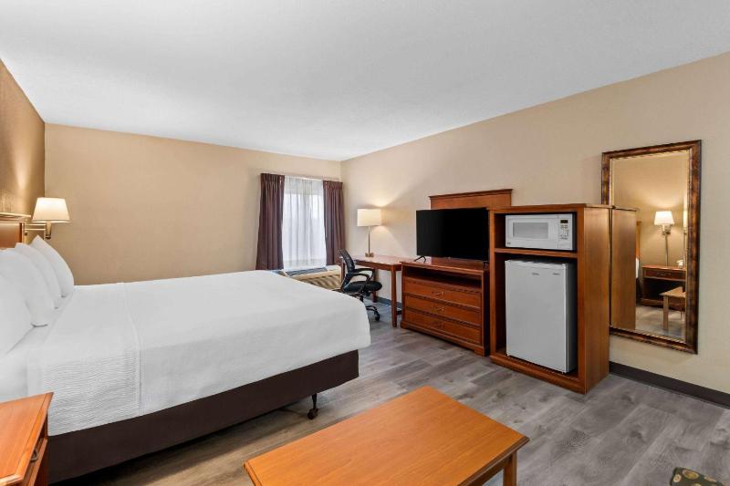 King Room with Mobility Access and Bathtub with Grab Bars, Non-Smoking image 3