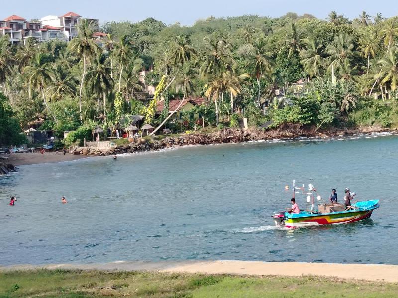 Surf Paradise - image 29