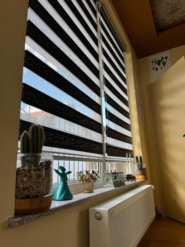 One-Bedroom Apartment image 2