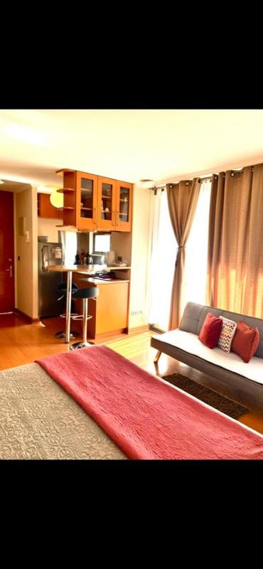 CentriK Location Apartment Providencia - image 6