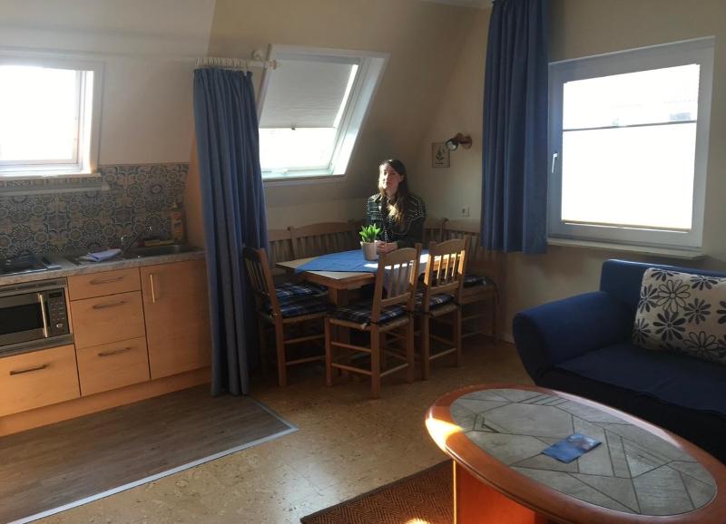 One-Bedroom Apartment image 3