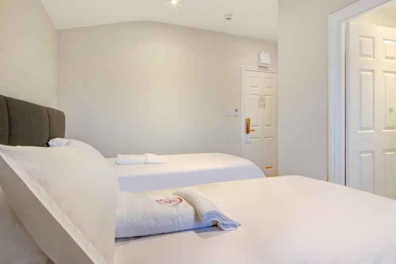 Deluxe Twin Room image 3
