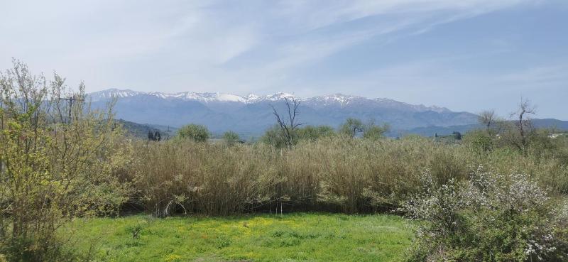 Studio with Mountain View image 1