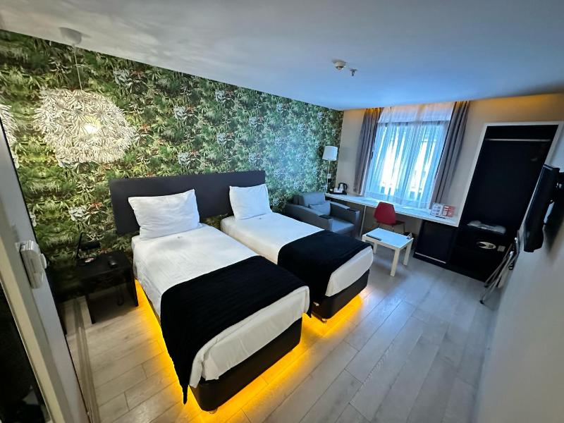 Standard Twin Room image 3