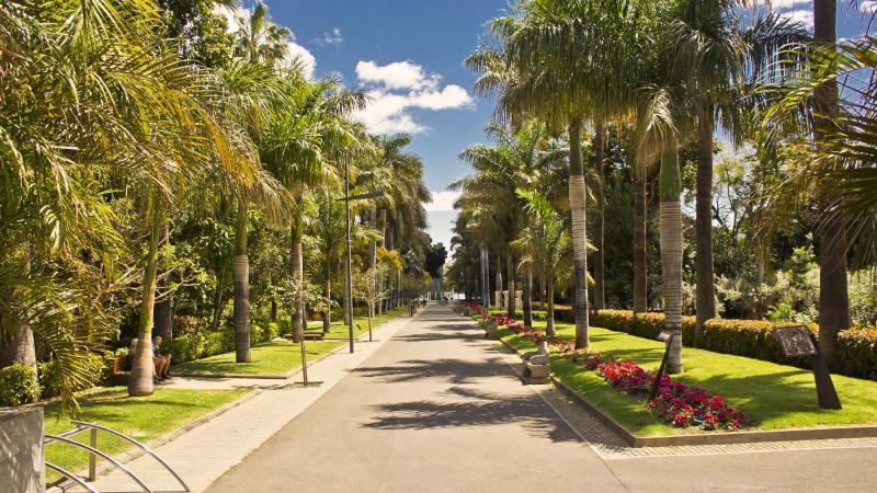 Villa Oasis del Sur - image 29