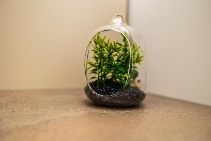 Standard Apartment image 3