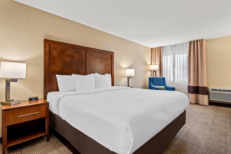 King Room - Non Smoking/Pet Friendly image 2