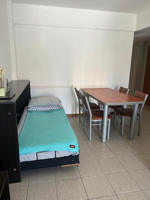 Palermo - lindo departamento - image 8